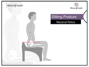 Neutral pelvis