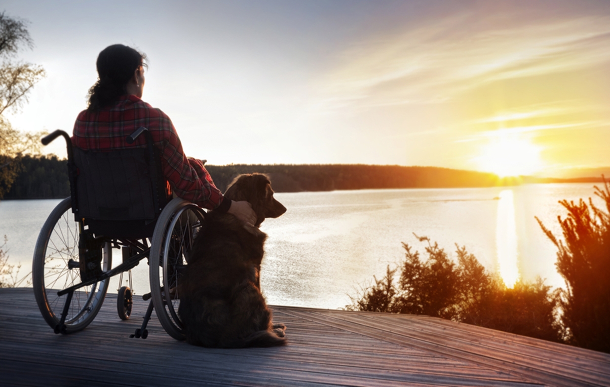 personal injury - clinical negligence - wheelchair